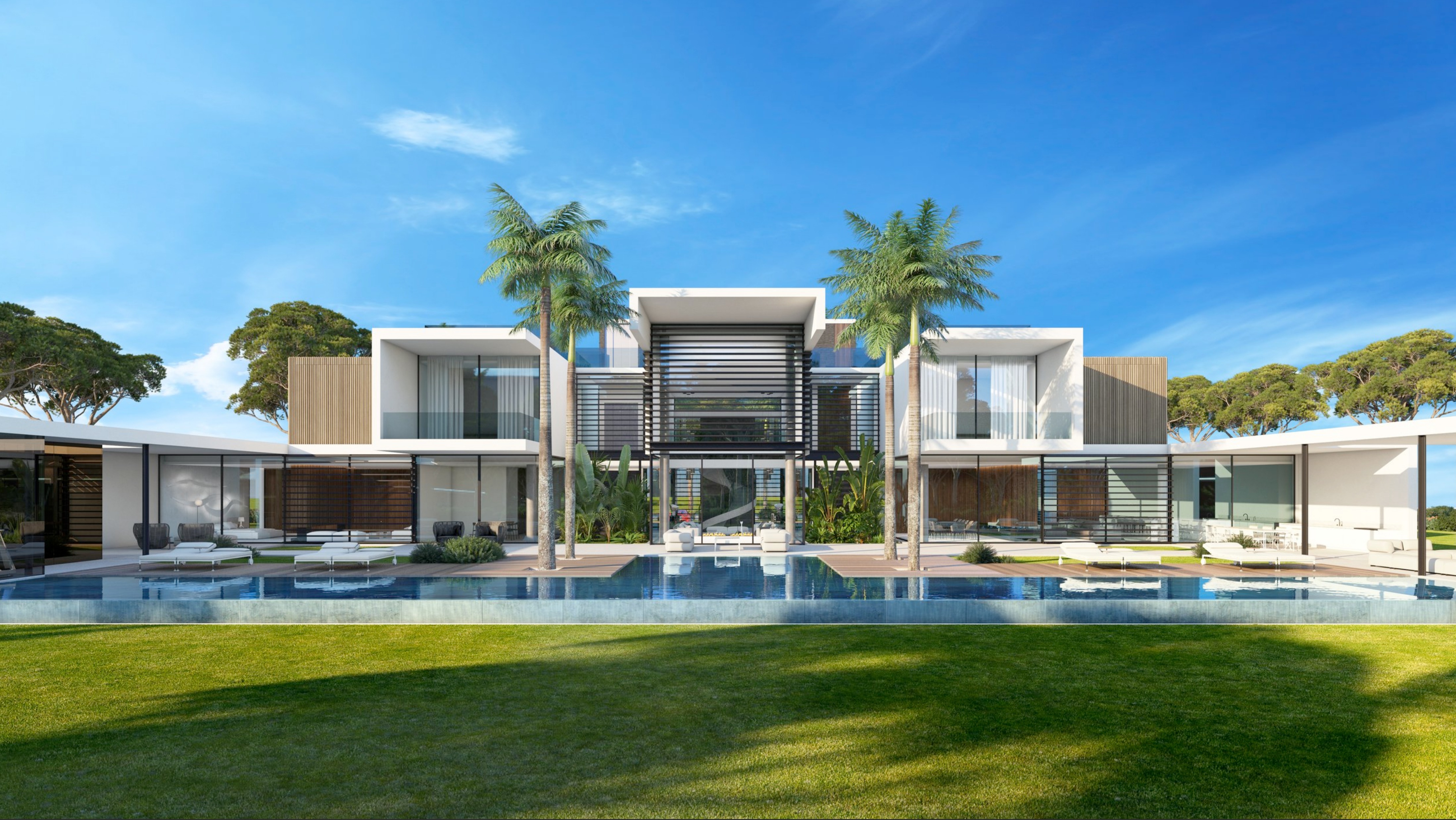 Modern luxury home with a pool and palm trees